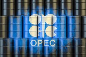 US Energy Secretary Blames OPEC ‘cartel’ for High Petrol Prices