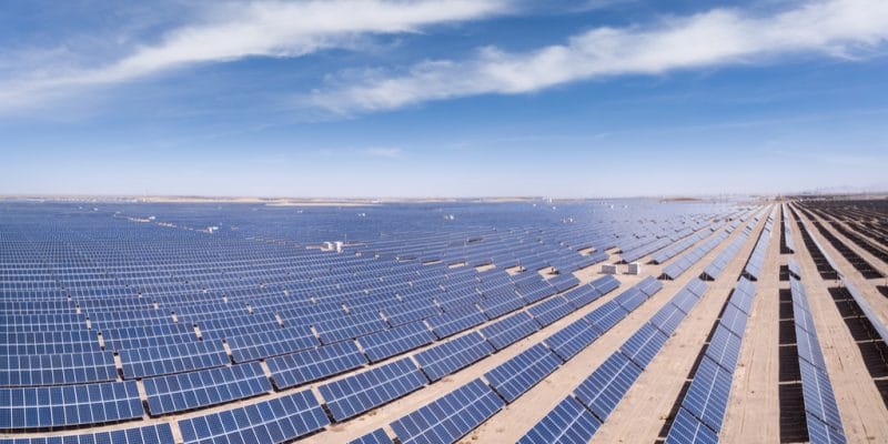 Algerian Government Offers Tenders for 1GWp Solar PV Capacity