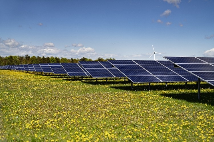 Arla looks to solar for energy in Denmark