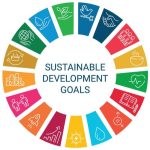 Africa’s priorities for sustainable development