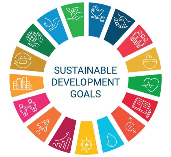 Africa’s priorities for sustainable development